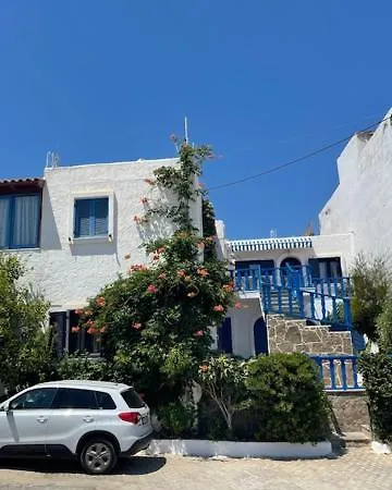 Marena 1